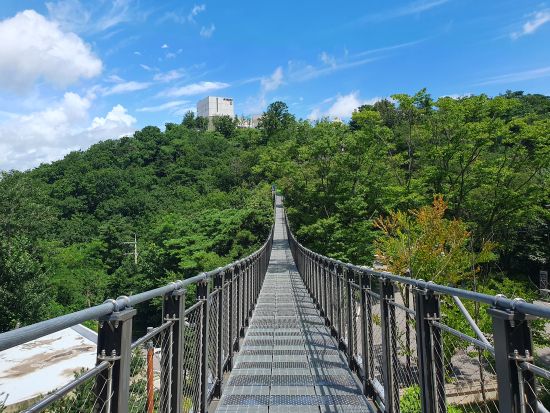 北朝鮮が見えるスターバックス送迎ツアー　DMZに一番近いスタバから北朝鮮を眺める！日本語ガイド付＆ヌンドンミナリランチ付プラン選択可＜弘大または明洞集合＞