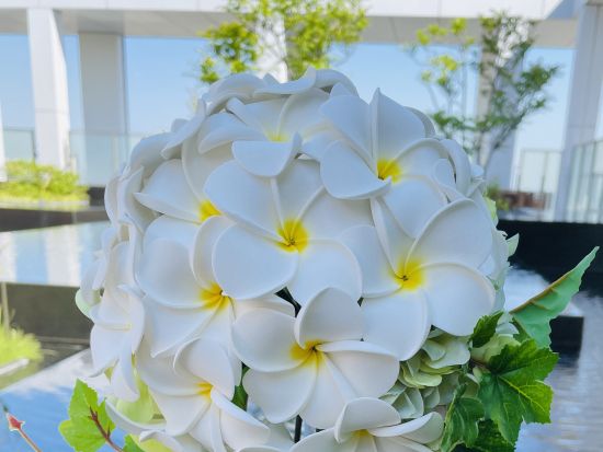 日本に持ち帰れるお花 「プルメリアブーケ＆ブートニア」
