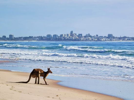 121138360_1781442445354301_4122221295470186569_o