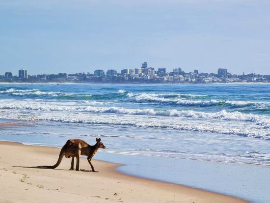 ブライビー島4WD日帰りツアー　ビーチ＆ラグーン探索＋戦争遺跡見学など自然・野生動物・歴史を満喫！＜昼食付き／英語ガイド／ブリスベン発＞