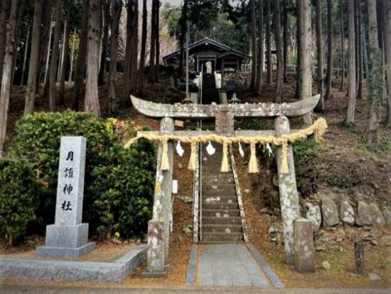 福岡発壱岐島日帰りバスツアー 一支国博物館＋壱岐焼酎の蔵元＋月読神社＋猿岩・砲台跡など 壱岐をまるごと堪能する旅＜生うに丼＆うに飯定食の昼食付／博多港発着＞