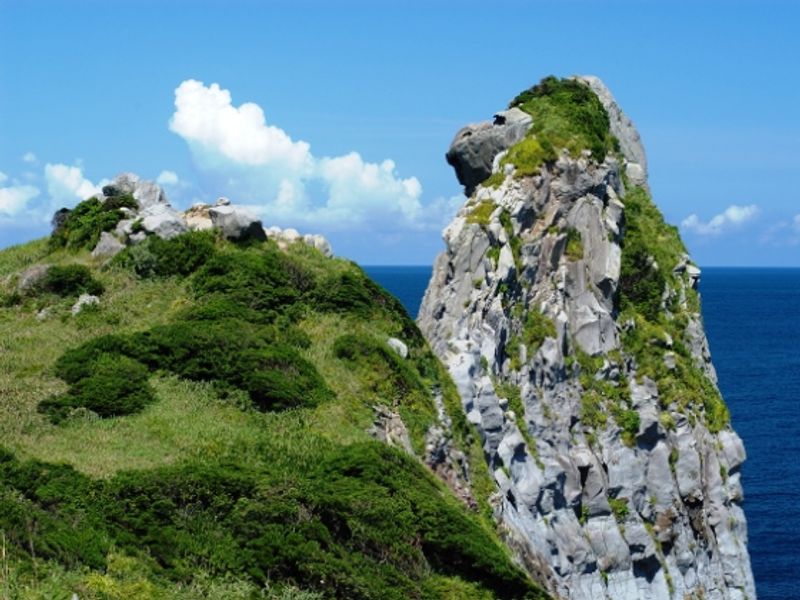 nagasaki_iki_saruiwa_xa_ll_size