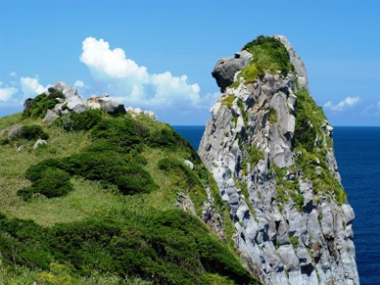 福岡発壱岐島日帰りバスツアー 一支国博物館＋壱岐焼酎の蔵元＋月読神社＋猿岩・砲台跡など 壱岐をまるごと堪能する旅＜生うに丼＆うに飯定食の昼食付／博多港発着＞