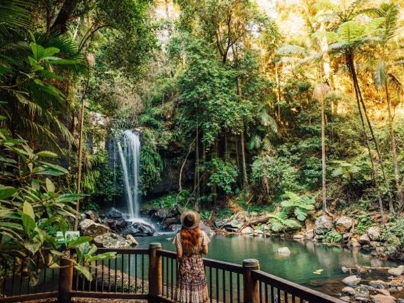 88f5cd45c6790ef21f6e68f989177237af0a9950