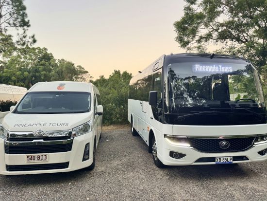 ブリスベン市内＆タンボリンマウンテン ホップオン ホップオフ バスツアー　乗り降り自由な快適バス旅で街や自然、ワイナリーなどを満喫！＜ブリスベン発＞