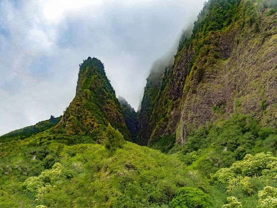 shutterstock_1553056763