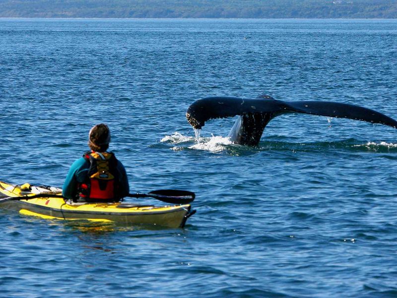 shutterstock_537405148