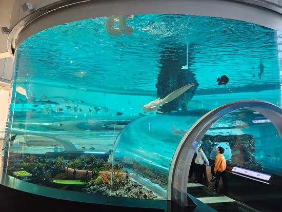 b278bf93f384ff66f2ad56efa22447c7