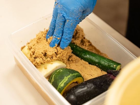 3ORFM_13eac212-d1cf-4f43-a4c1-e04e238628b0