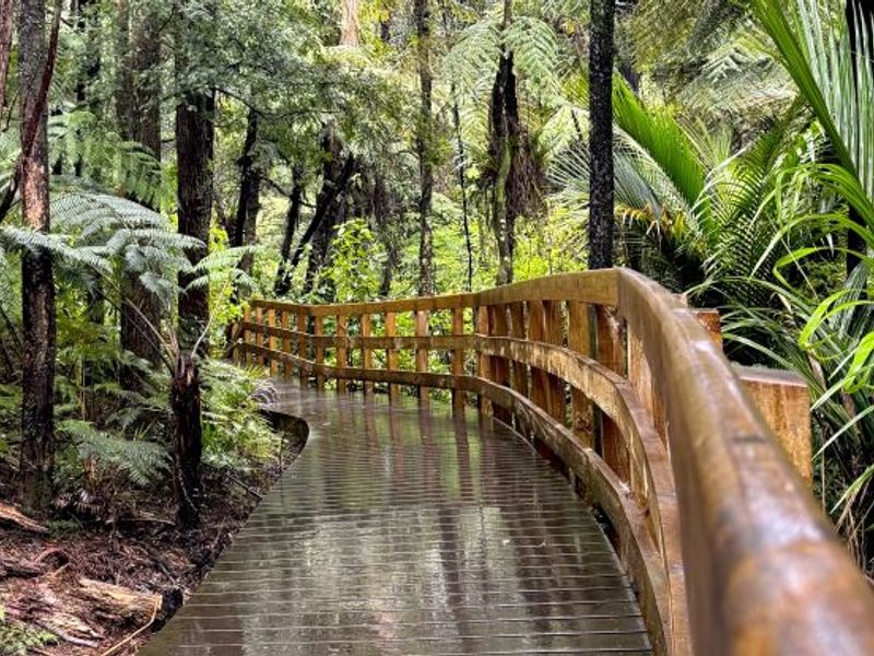 IMG_5839 - コピー