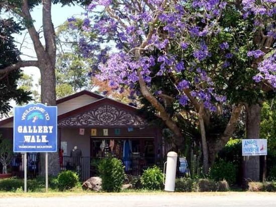 土ボタル観賞＆タンボリンマウンテン日帰りバスツアー　ワイナリーやギャラリーウォークなども満喫！＜英語ガイド／ブリスベン発＞