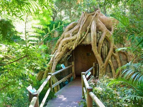 土ボタル観賞＆タンボリンマウンテン日帰りバスツアー　ワイナリーやギャラリーウォークなども満喫！＜英語ガイド／ブリスベン発＞