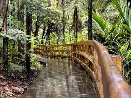【土曜限定】グルメと自然に出会うマタカナの魅力満喫ツアー＜日本語ガイド／オークランド発＞
