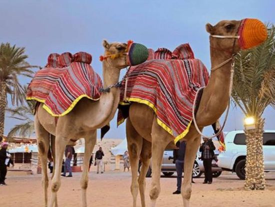 スクリーンショット 2025-10-09 104510