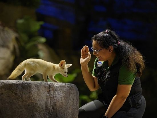 200013215_base_172670750957810