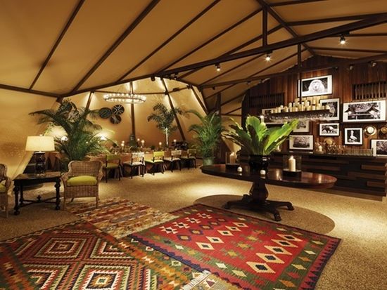 200013215_base_17267075093137