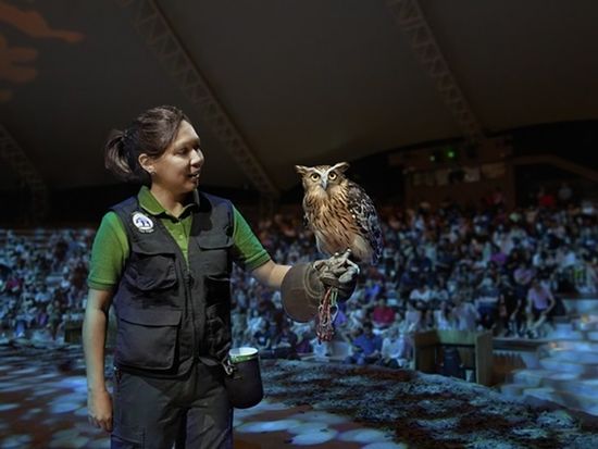 200013215_base_17267075089513