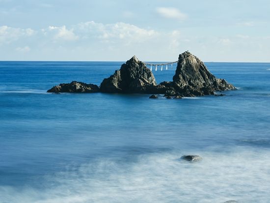 ダウンロード (16)