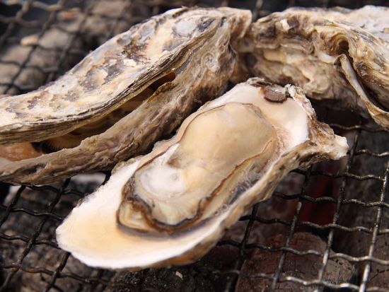 ダウンロード (15)