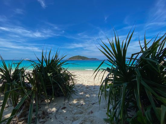 20. Similan Island Snorkeling Tour with lunch by speed boat private pier (105)