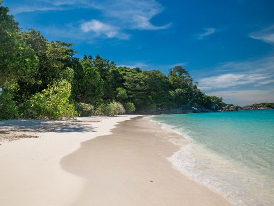 20. Similan Island Snorkeling Tour with lunch by speed boat private pier (100)