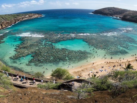 ハナウマ湾送迎ツアー　ハナウマ湾の入場料込み！＜英語ドライバー／ワイキキエリア送迎付き＞