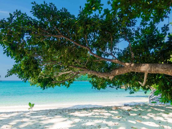 Surin-with-Siam-Adventure-World-57-5000x3334