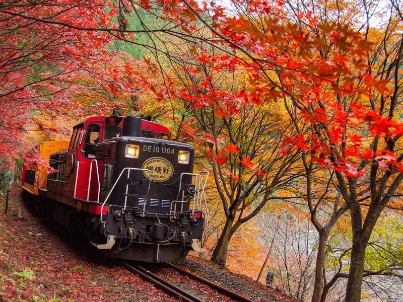 REJ6G_2e933249-6588-4b5f-8afc-bf5a9655fc59