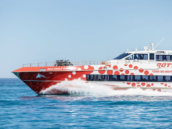 REX Experiences 2024 Island 017