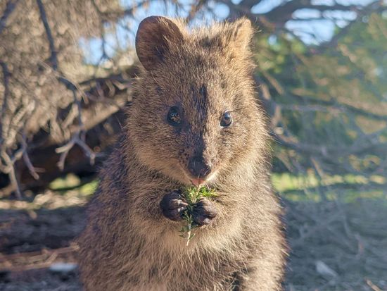 PXL_20250606_063354259