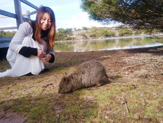 ロットネスト島1日ツアー　「世界一幸せな動物」クオッカと自然あふれる島を満喫！バスツアーなどが付いた日本語ガイドプランやフリープランから選べる◎＜パース発＞