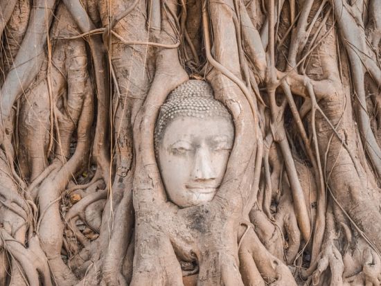 アユタヤ発選べる３スタイル観光チャーター　ガイド付き・ガイドなし・日本語OKトゥクトゥクから選べるスタイルでアユタヤ観光を満喫＜ホテル送迎＞