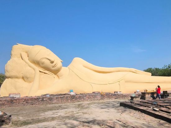 ワットロカヤスター (2)