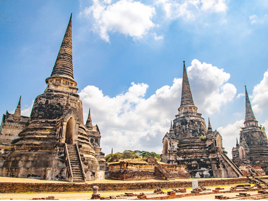 ワットプラシーサンペット3 (4)