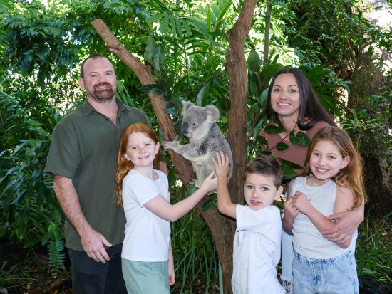 ゴールドコースト カランビン・ワイルドライフ・サンクチュアリー（カランビン動物保護園）入園チケット事前予約　コアラ抱っこ写真、コアラと朝食など選べるプラン！