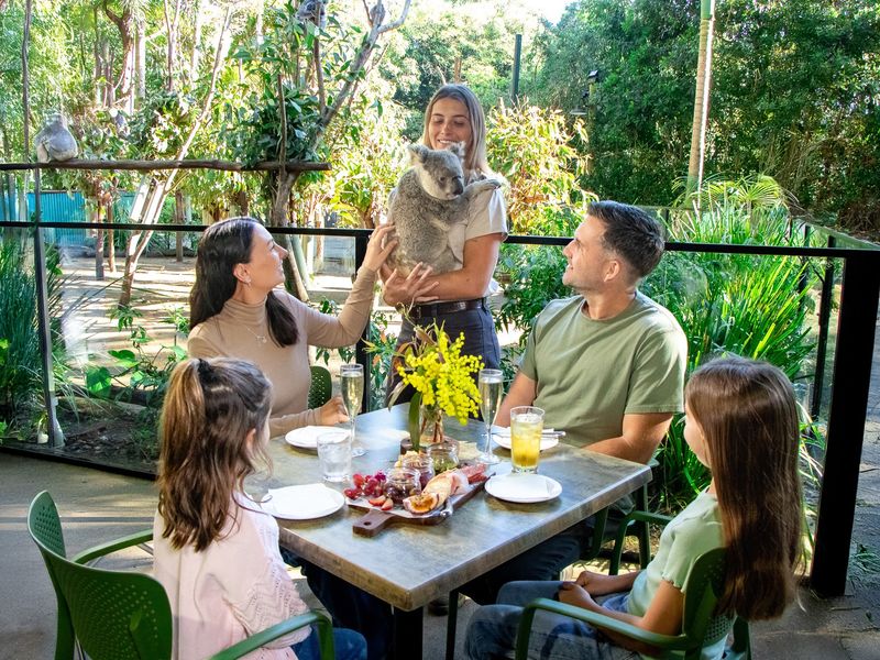 GrazyArvo240725-0W6A1924