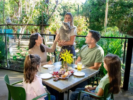 ゴールドコースト カランビン・ワイルドライフ・サンクチュアリー（カランビン動物保護園）入園チケット事前予約　コアラと朝食、コアラとおやつなど選べるプラン！
