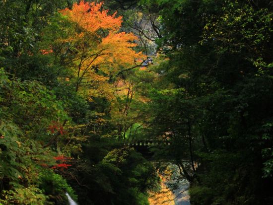 熊本発着日帰りバスツアー 阿蘇山＋高千穂峡＋天岩戸　定番観光地を1日で巡る！＜昼食付／1日＞by KASSE JAPAN