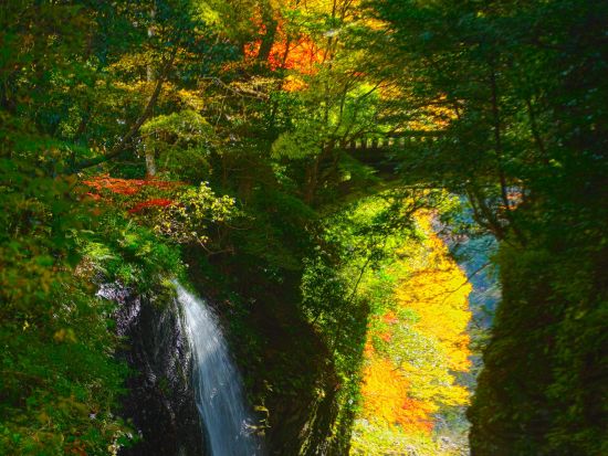 熊本発着日帰りバスツアー 阿蘇山＋高千穂峡＋天岩戸　定番観光地を1日で巡る！＜昼食付／1日＞by KASSE JAPAN