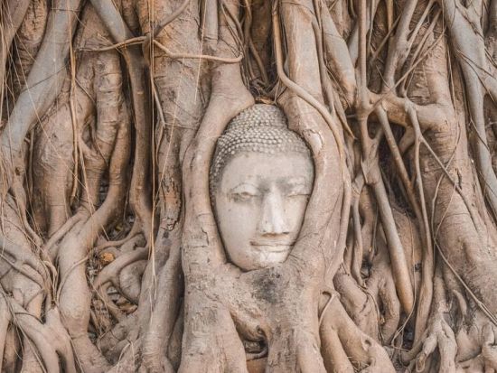 世界遺産アユタヤ半日観光　朝ゆったり8時出発！象乗り体験＆4つの遺跡めぐりを楽しめる ＜日本語ガイド／バンコク発着＞