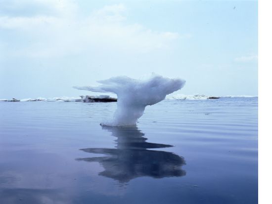 【英語・中国語ガイドツアー】流氷観光砕氷船おーろら乗船！網走流氷シンフォニー〈流氷カヤック＋ファットバイクサイクリング＋流氷サウナ体験／流氷ディナーショー付〉