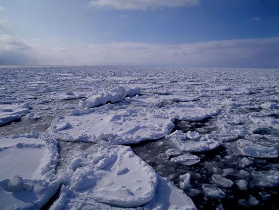 1aa7653a313eedc9eb81b525a444cca64b63d2a8