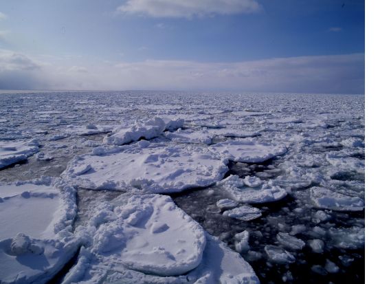 【英語・中国語ガイドツアー】流氷観光砕氷船おーろら乗船！網走流氷シンフォニー〈流氷カヤック＋ファットバイクサイクリング＋流氷サウナ体験／流氷ディナーショー付〉