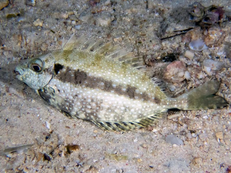 AdobeStock_357786718