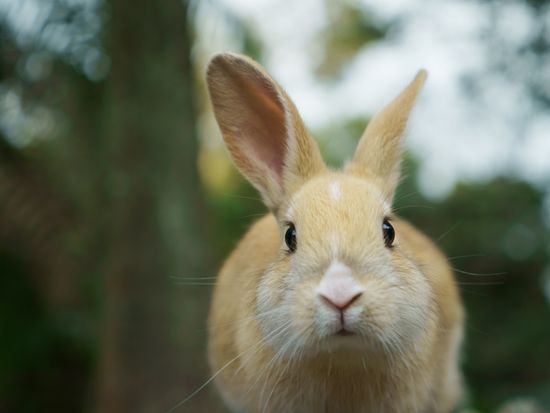 AdobeStock_126120301