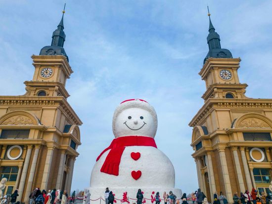【時間限定・1泊2日貸切ツアー】ハルピンへ氷雪祭り体験に行こう！～氷雪大世界の氷祭り＋太陽島の雪祭り＋迫力満点の東北虎サファリパーク※日本語ガイド