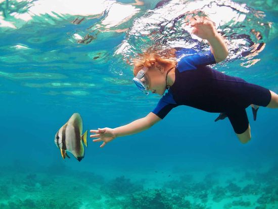 shutterstock_2205705357