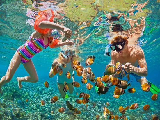 shutterstock_695392744