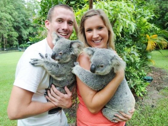 オーストラリア動物園＆ムールーラバビーチ1日観光ツアー　野生動物の裏側を知る病院見学やビーチ＋名物グルメを満喫！＜ブリスベン発着＞
