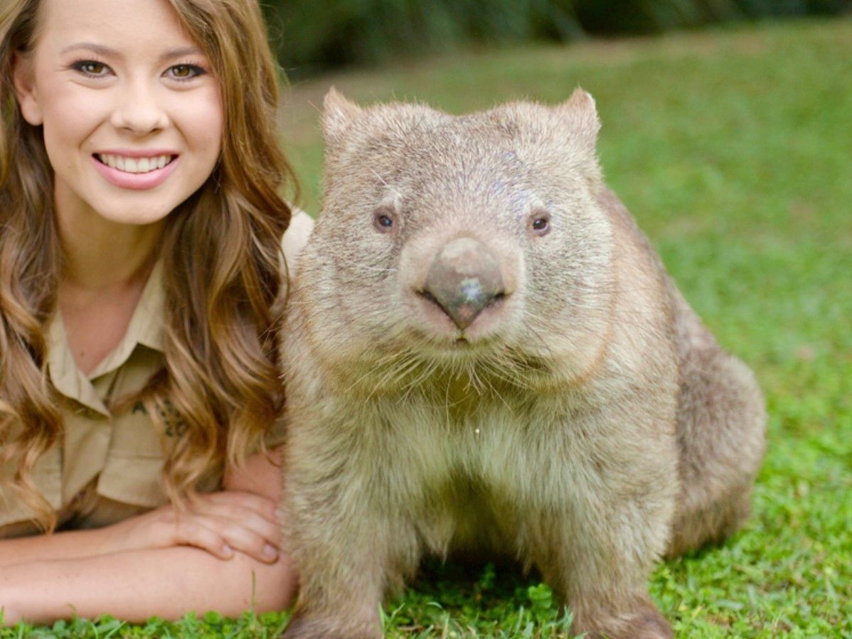 オーストラリア動物園（Australia Zoo）入場ツアー スリル満点の